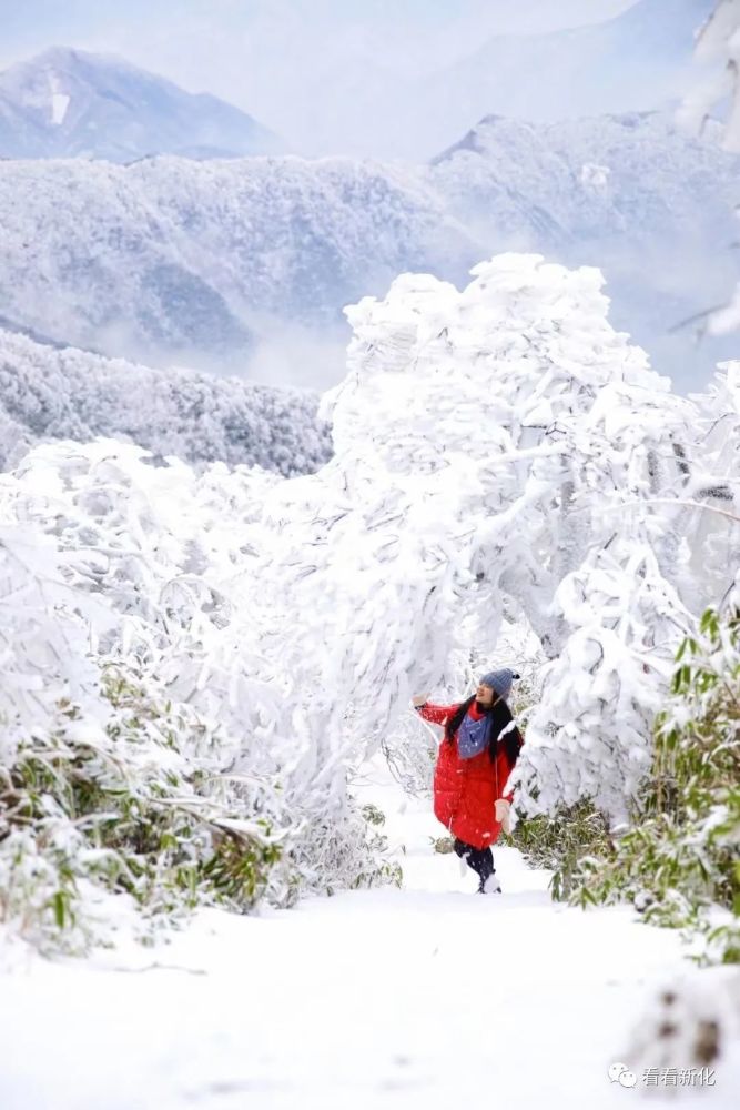 12月6日大熊山的雪景 虽然今天下不了大雪 但冷却是实实在在的 受冷