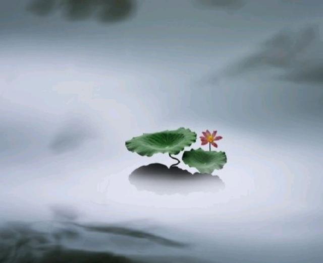 点醒无数人的金玉良言大格局大智慧