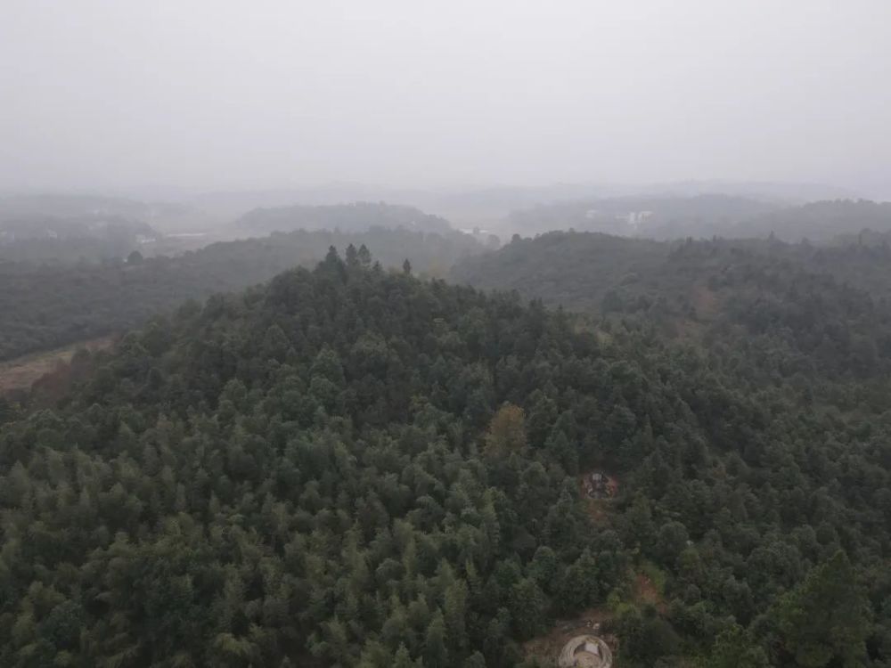 马家一祖先过世,请风水先生寻找墓地,于凤形山寻得一穴宝地