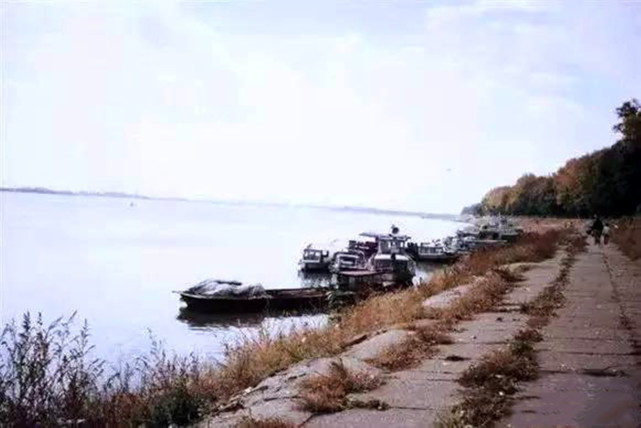 老照片:90年代的齐齐哈尔,东北大地上最美丽的鹤城|大地|黑龙江|嫩江