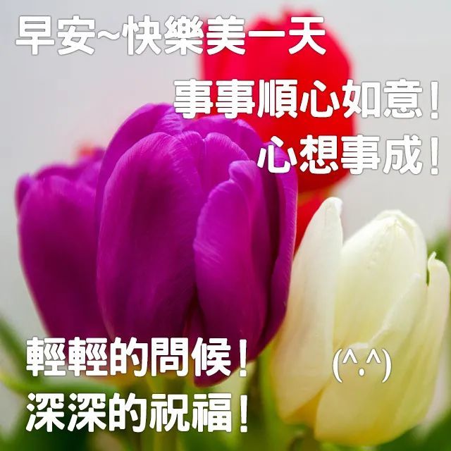 祝福早上好问候语 早上好高清图片带字