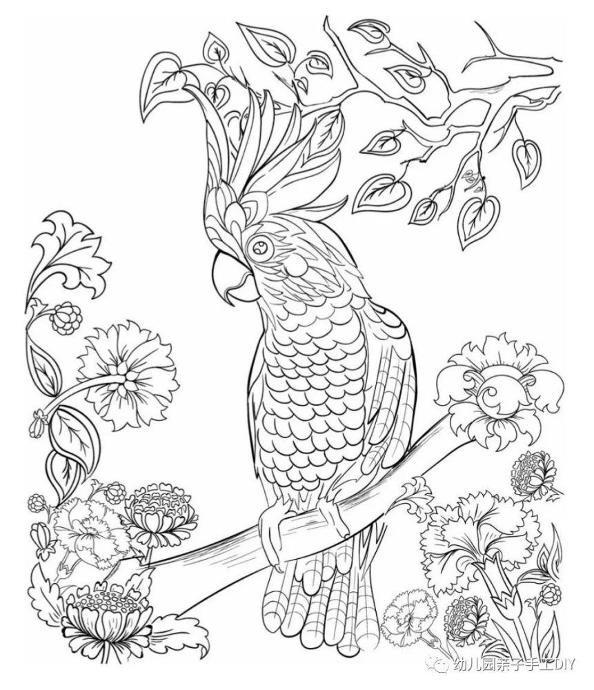儿童线描画,卡通画,填色卡【可打印】