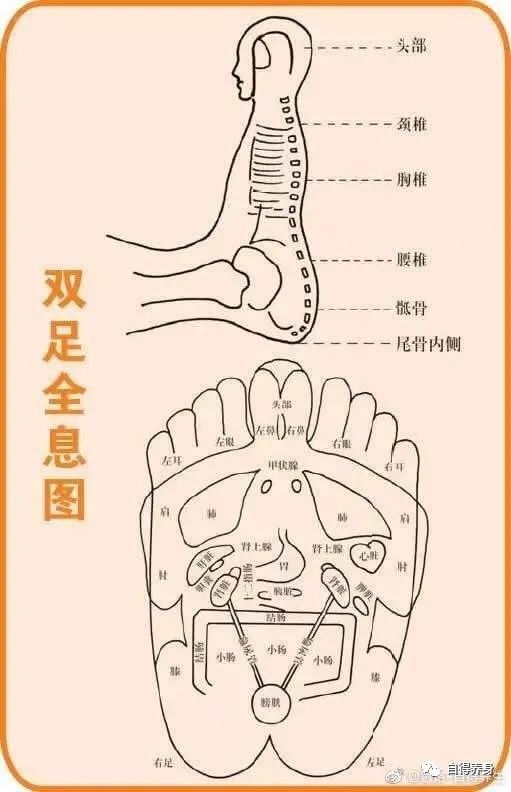 按摩脚底2部位,远离痴呆症!