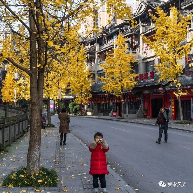 鱼凫古街,位于四川省泸州市叙永县永宁新区,是一条颇具地方特色和