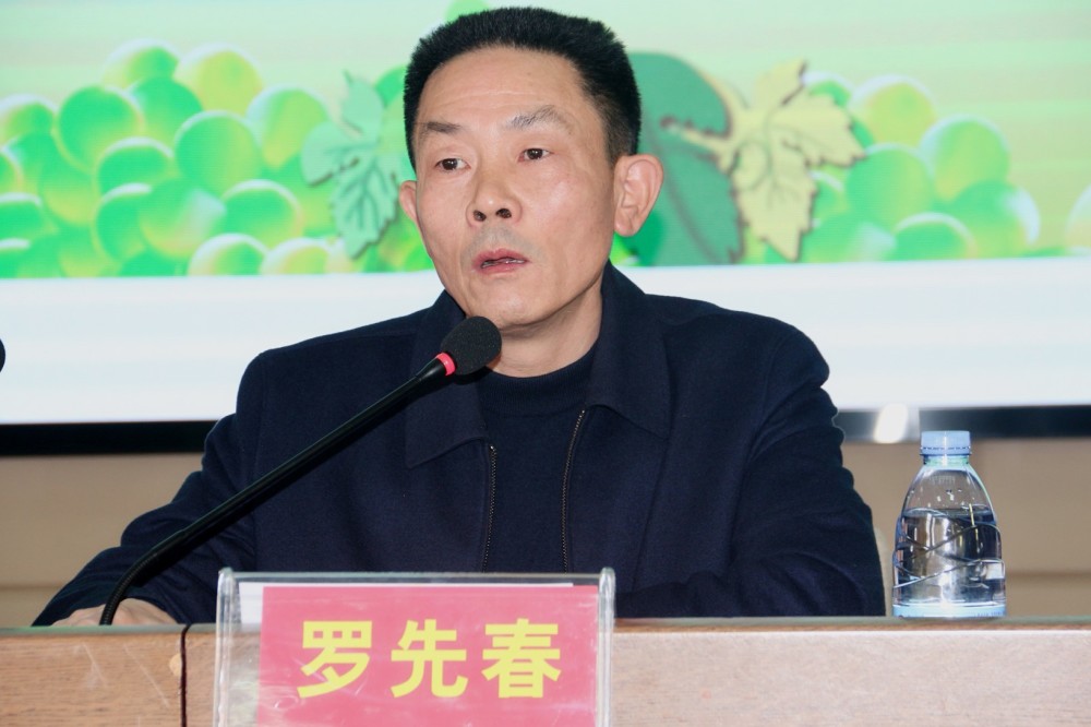 澧县人民政府副县长罗先春讲话