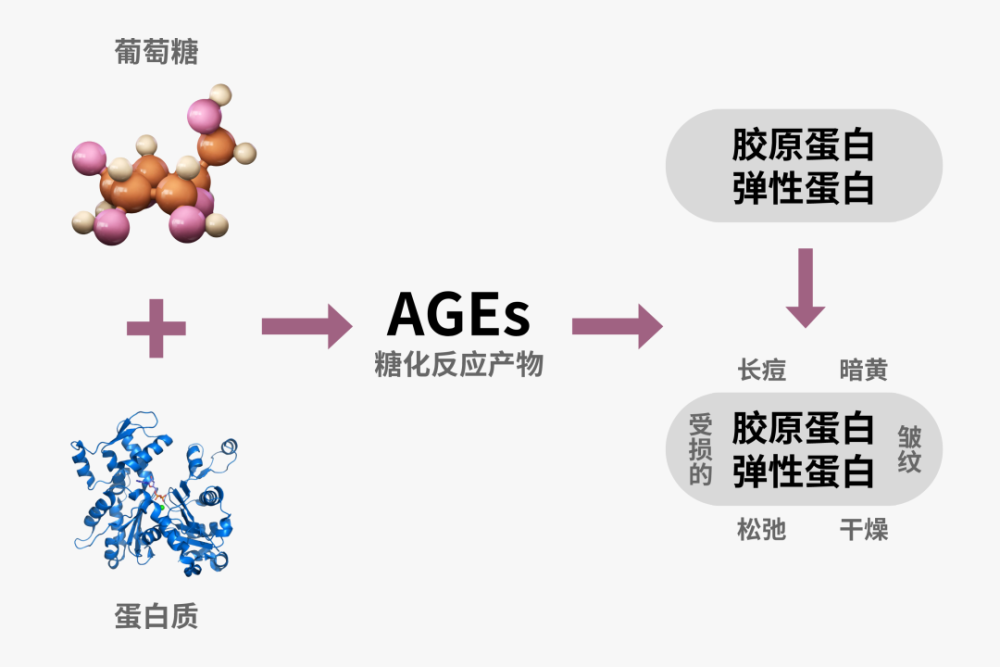 抗衰老等于抗糖糖化反应到底是什么