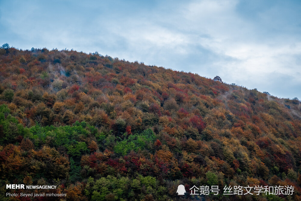 伊朗吉兰人口_伊朗人口分布图