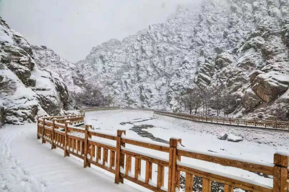 雪后的贺兰山岩画,每一张都能当屏保