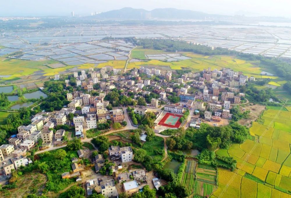 看!儒洞镇寿场村华丽"蝶变"