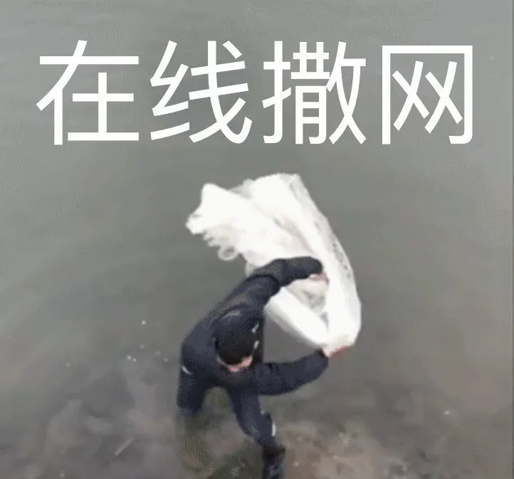 在线撒网|沙雕表情包