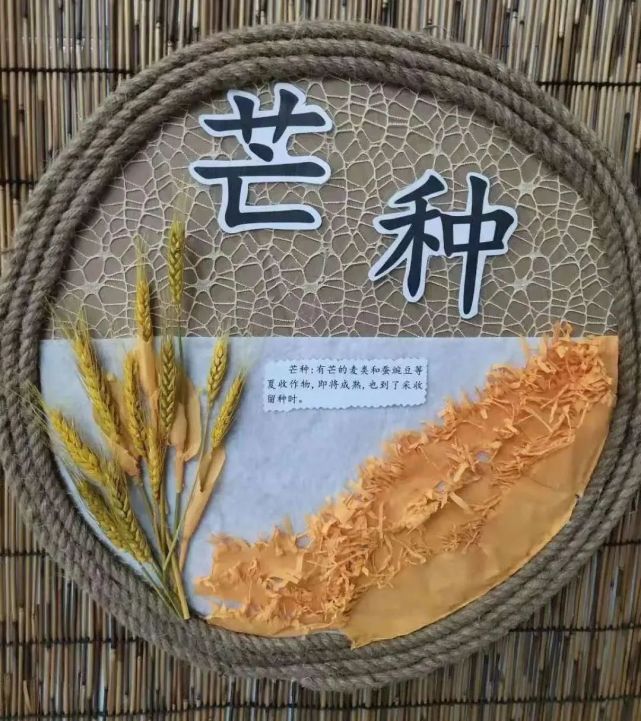 芒种是二十四节气中第九个节气,芒种字面的意思是"有芒的麦子快收,有