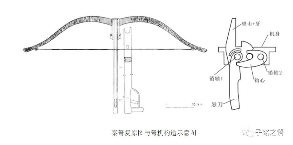 与箭镞配合使用的弩机,从抽取的13套弩机来对比,发现各零件尺寸亦基本