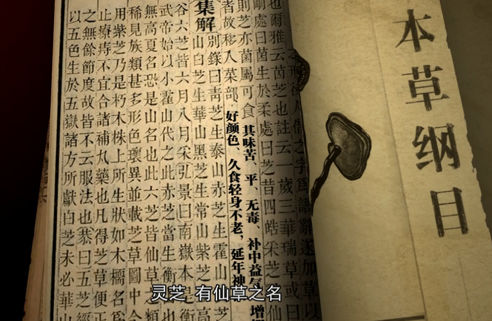 李时珍为何在本草纲目中将灵芝列为菜部