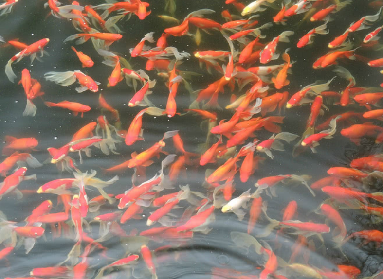 酒泉经济总量排名_酒泉职业技术学院