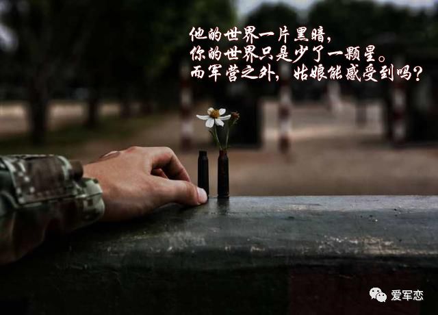 不能忘记你简谱_不能忘记你