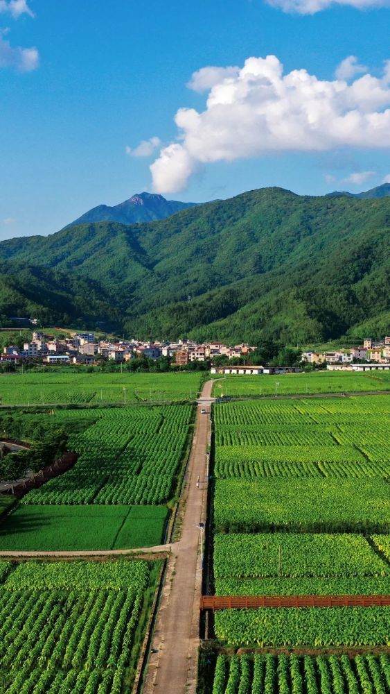 城厢东岗村·四季田园—城厢云寨村·仙女湖—有人说一个