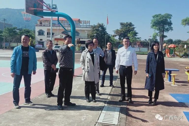 于英杰到东兴市调研乡村振兴示范点工作