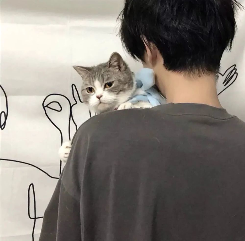 猫系男头|抱猫系列