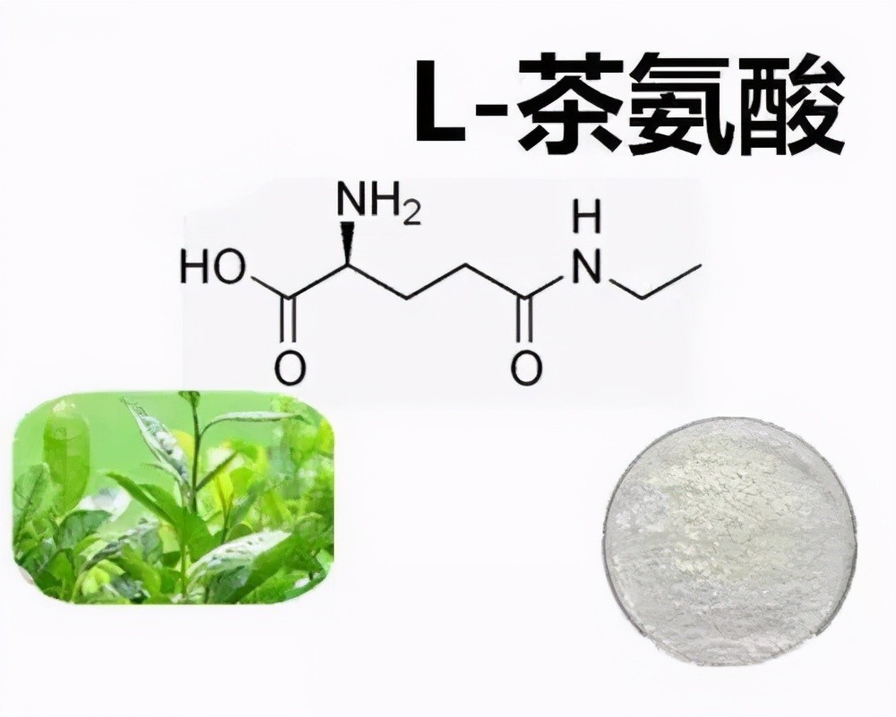 茶叶中含有1~4%左右的氨基酸,其中已被发现并鉴定的有26种,含20种