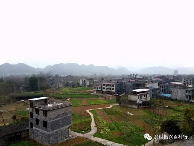 【区县解读】"乡村振兴百村行"—酉阳县龙潭镇梅树村