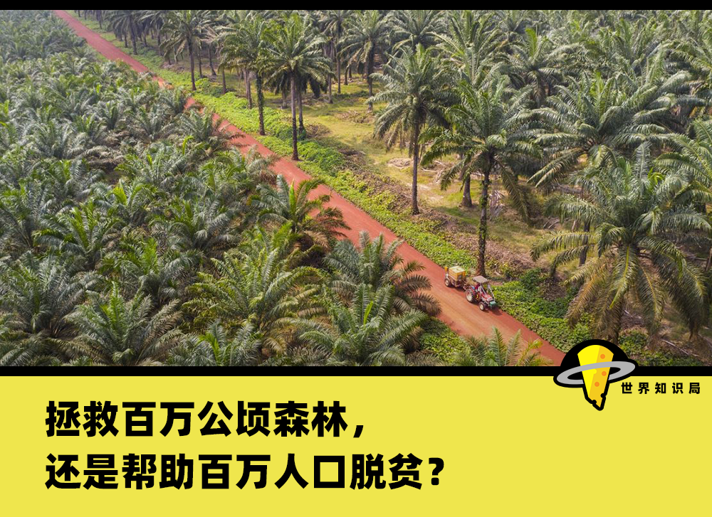 森林与人口_人口与国情手抄报