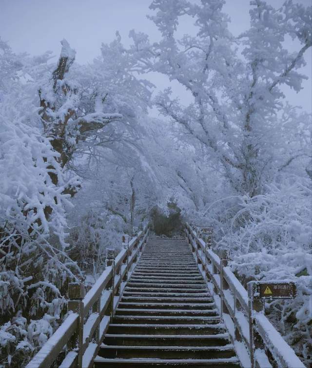 贵州旅游冬天的梵净山雪景美炸了