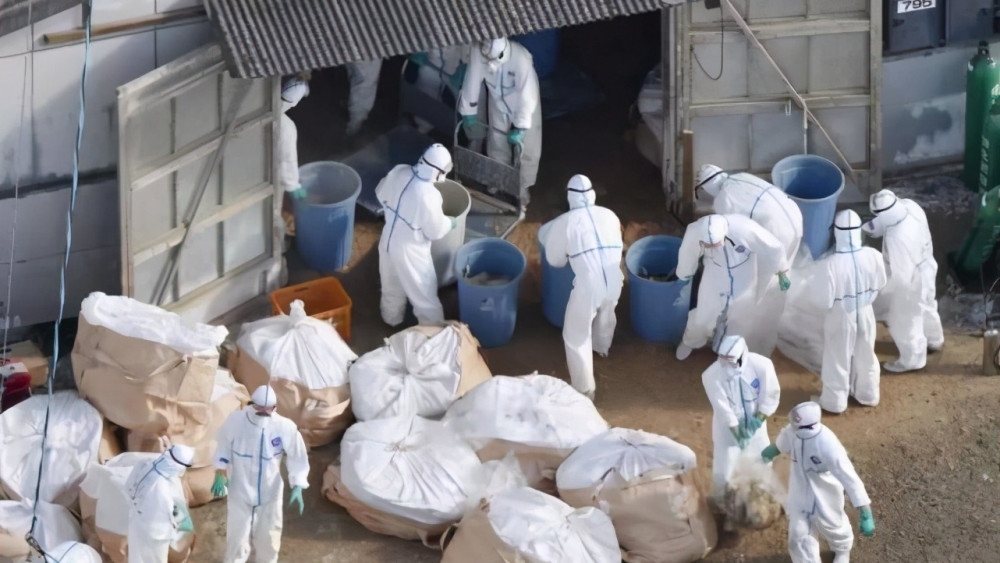 2020美国gdp没有下滑_2020美国gdp(2)