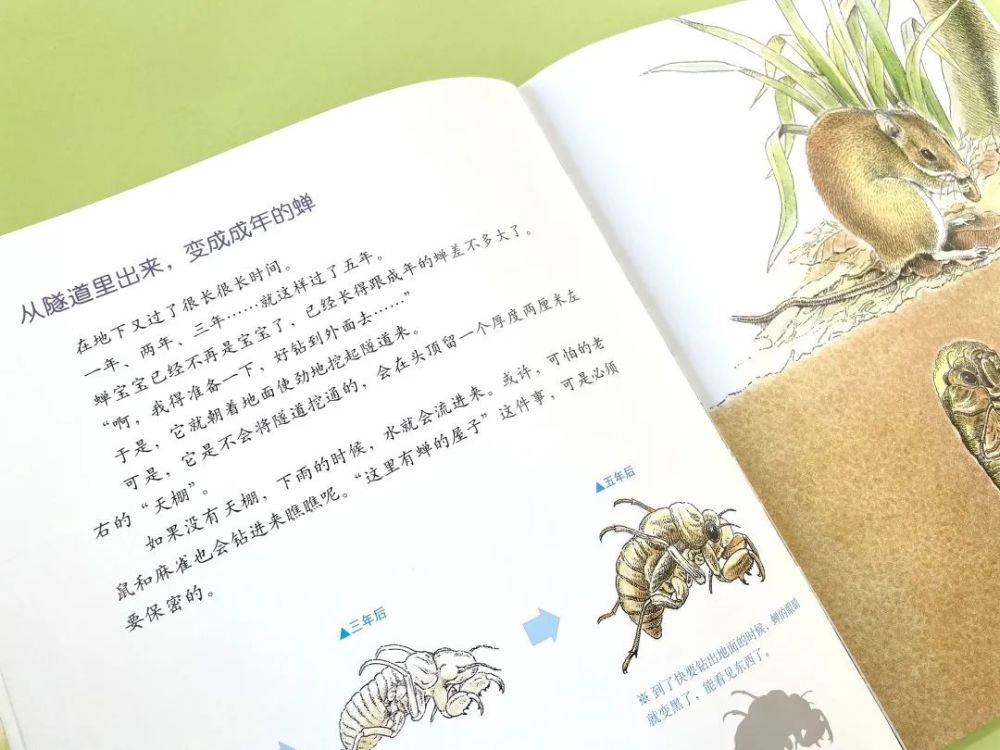 《昆虫记》 腾讯网