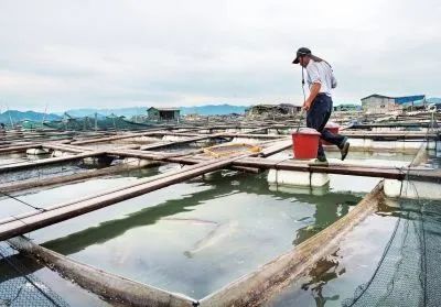 霞浦县一年的gdp_福建霞浦县图片