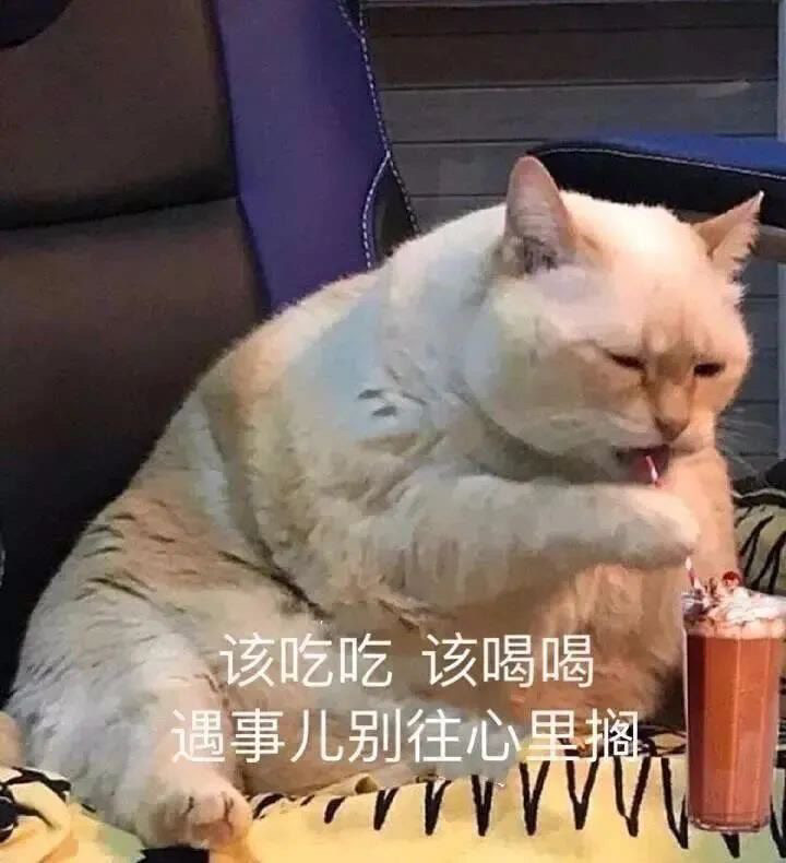 怎么得到你,是麻袋还是甜言蜜语?|沙雕表情包