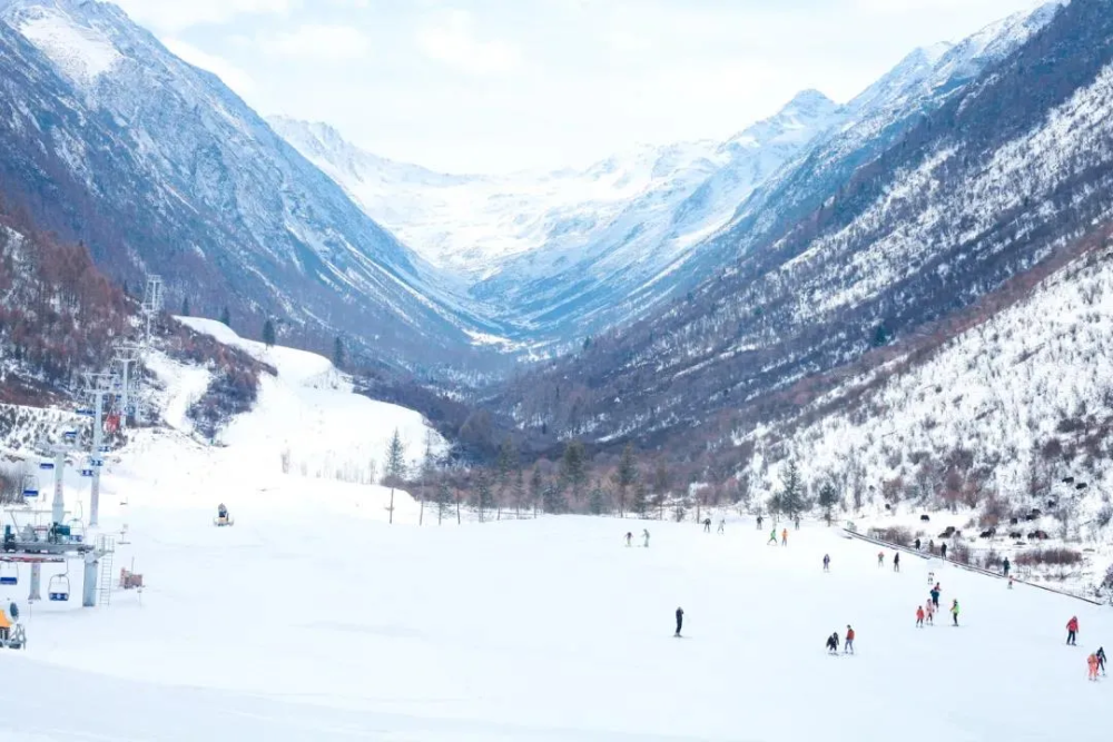 鹧鸪山自然乐园鹧鸪山自然公园旅游景区位于阿坝州理县米亚罗境内,因