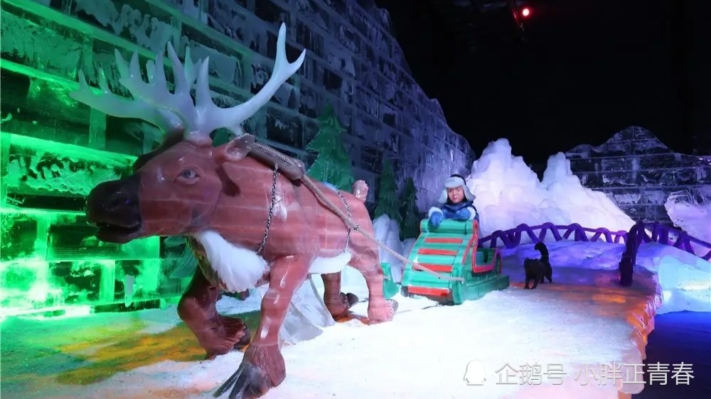 石家庄植物园,冰雪大世界