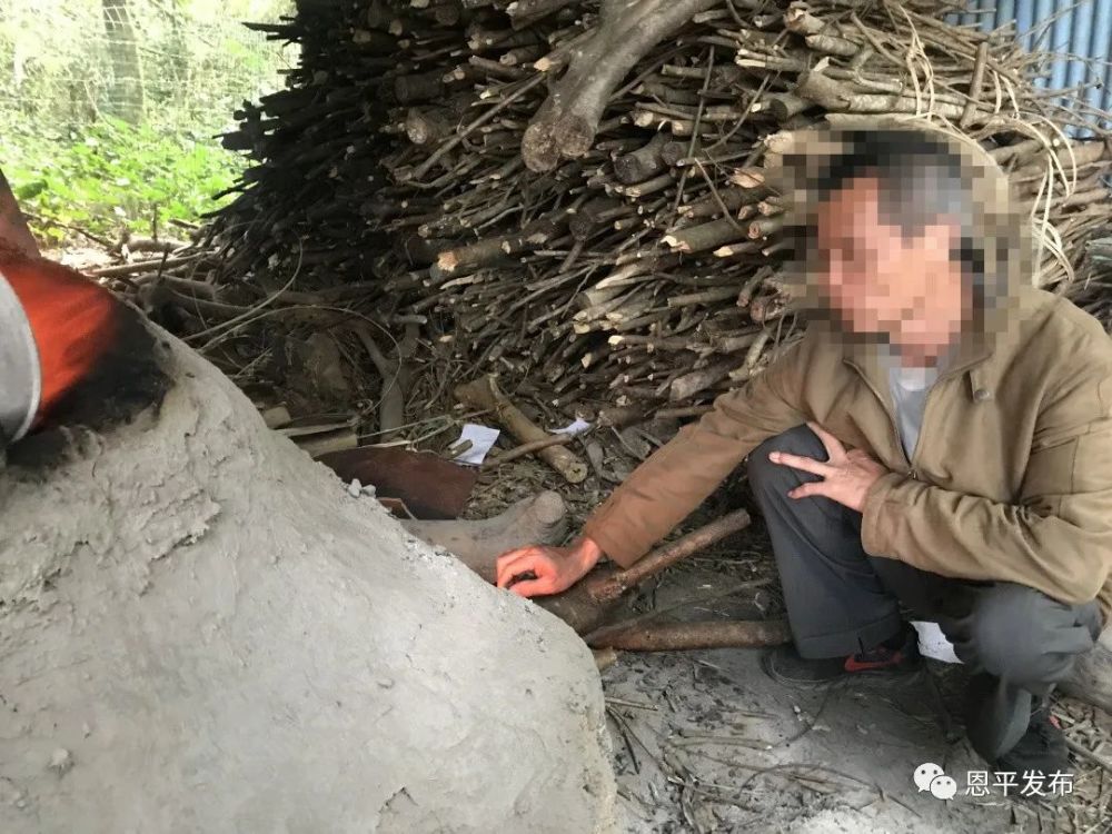 良西镇多少人口_西条高人图片(3)
