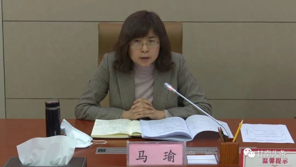 马瑜一行先后深入洛大镇,旺藏镇花园村,次日那村