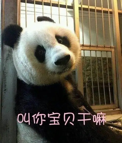 可爱熊猫表情包第一弹