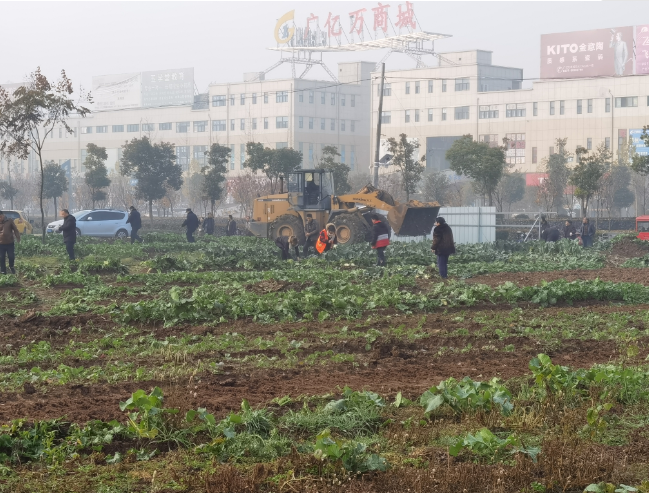 河南邓州市目前人口多少_河南邓州市图片(3)