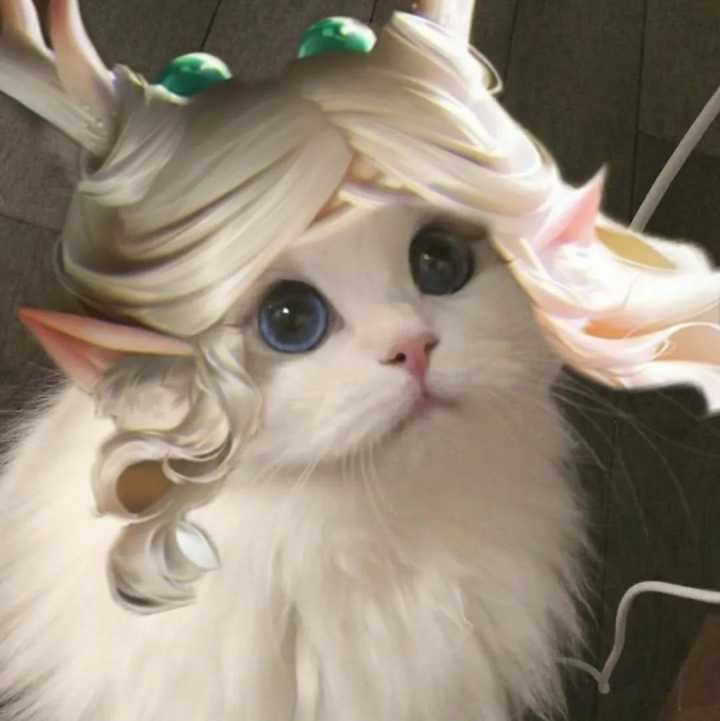 专属于王者玩家的猫咪开黑头像