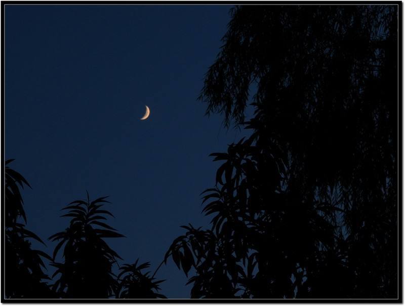 今宵酒醒何处?杨柳岸,晓风残月