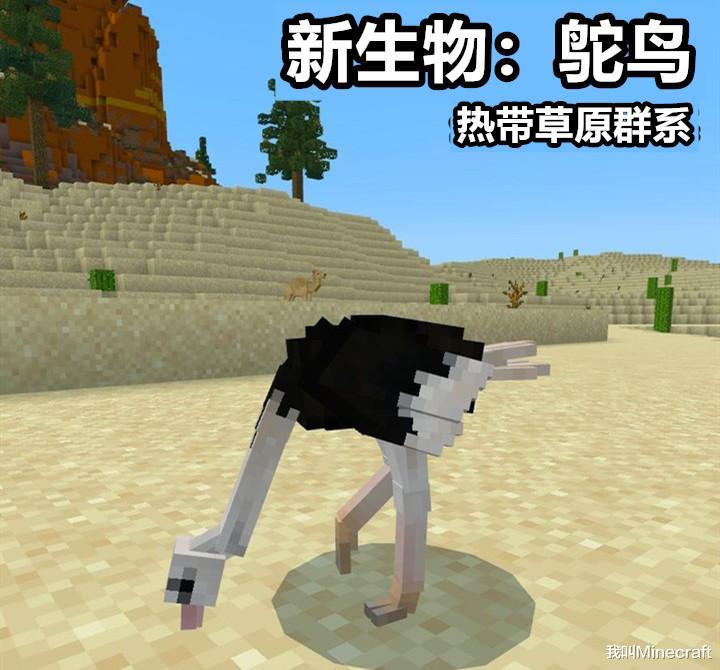 我的世界:未来mc必会加入的5种新生物!神预测:还有亡灵秃鹫?