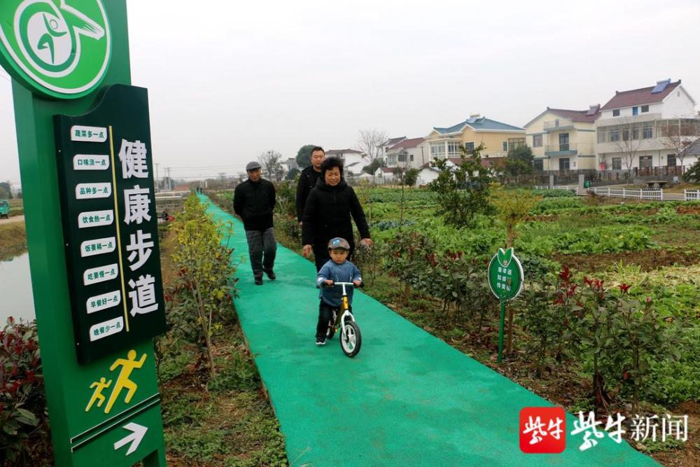周末在家门口逛逛新建健康步道方便村民步行休闲