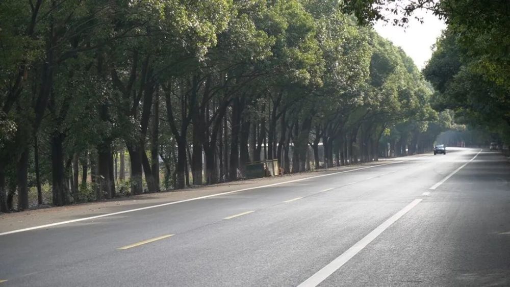届时 老104国道(262省道与342省道间路段 将升级为双向四车道!