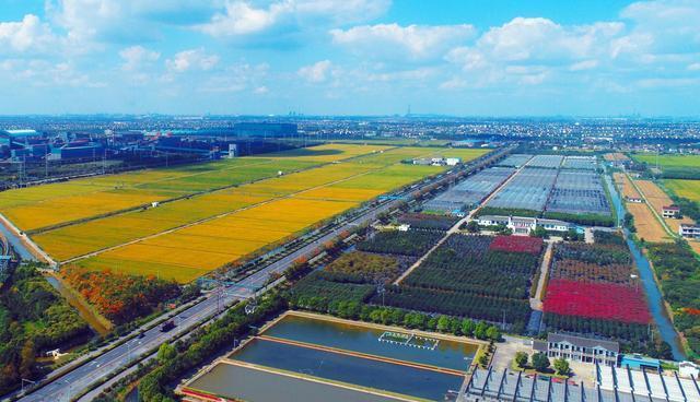 佛山市乡村经济总量_佛山市地图