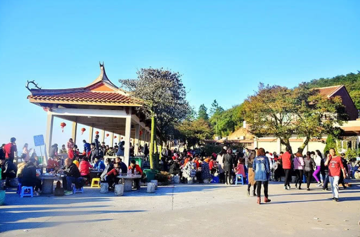 户胡镇人口_户胡镇袁明华(2)