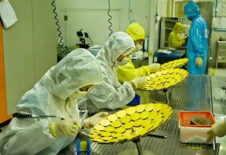 台积电一年大多少gdp(3)