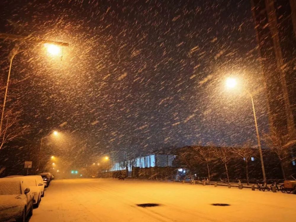 北京下雪啦!新鲜雪景图已"到货",一起来看看
