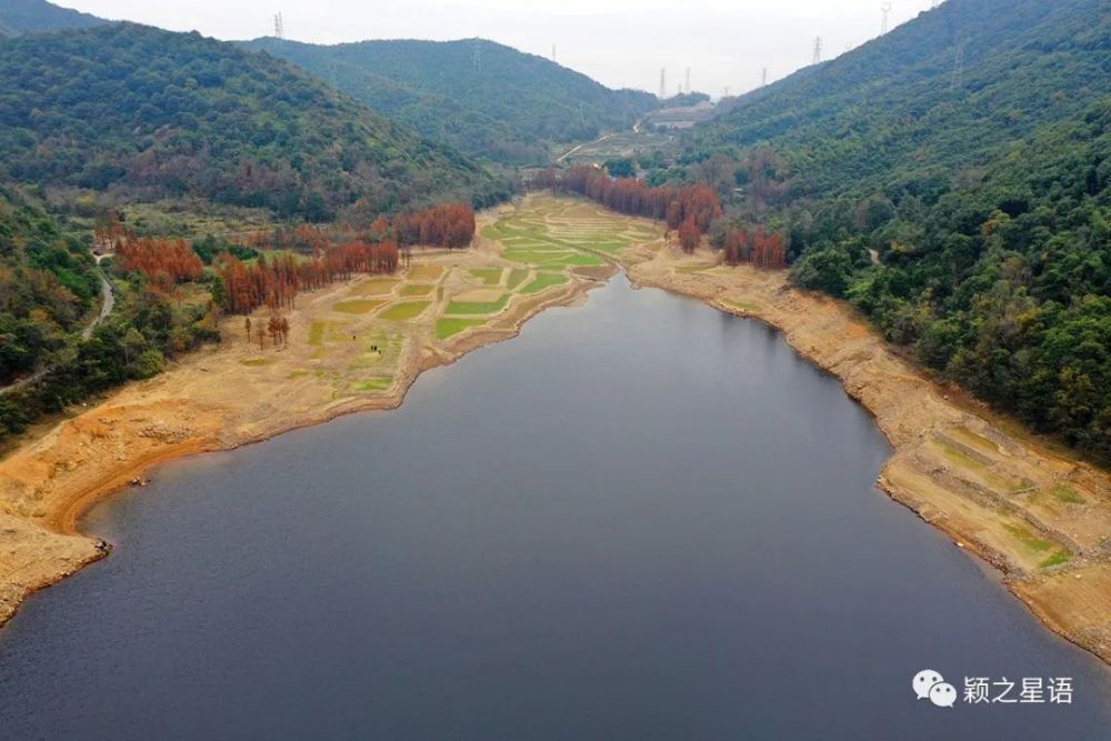 象山仓岙水库,红杉很美,岁月沧桑