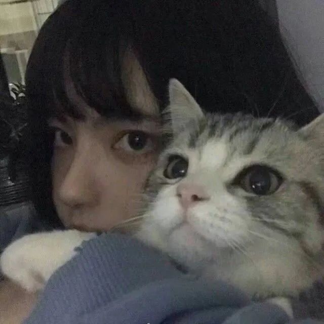 猫系女头抱猫的女孩