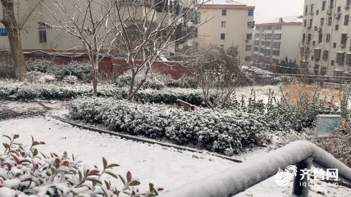 长春迎来今冬首场大雪：白色童话的开始