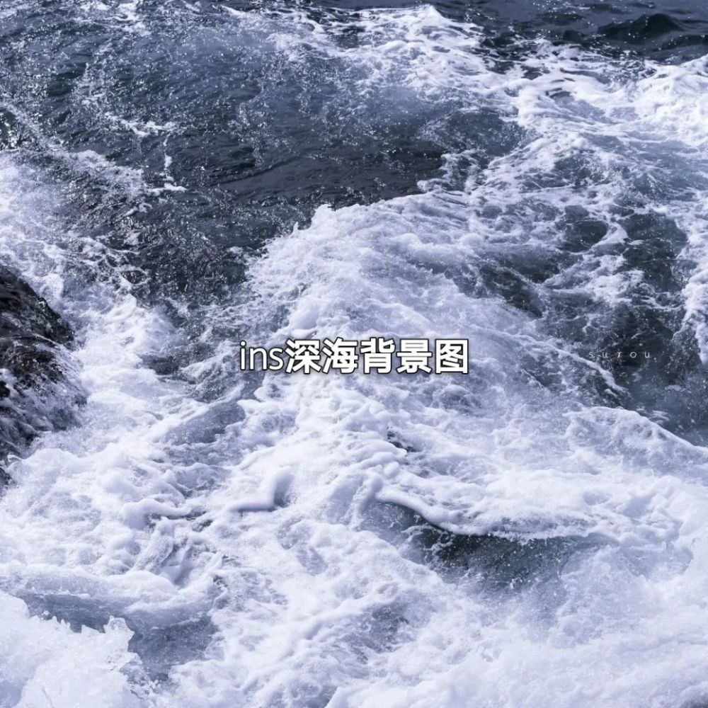 ins大海背景图/感觉自己是一株蒲公英