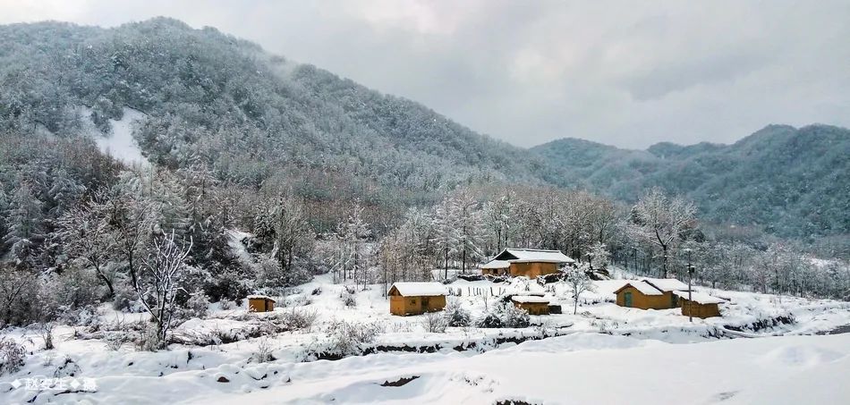 一场雪后天水最美山村雪景图来了宛若仙境又仿佛回到小时候